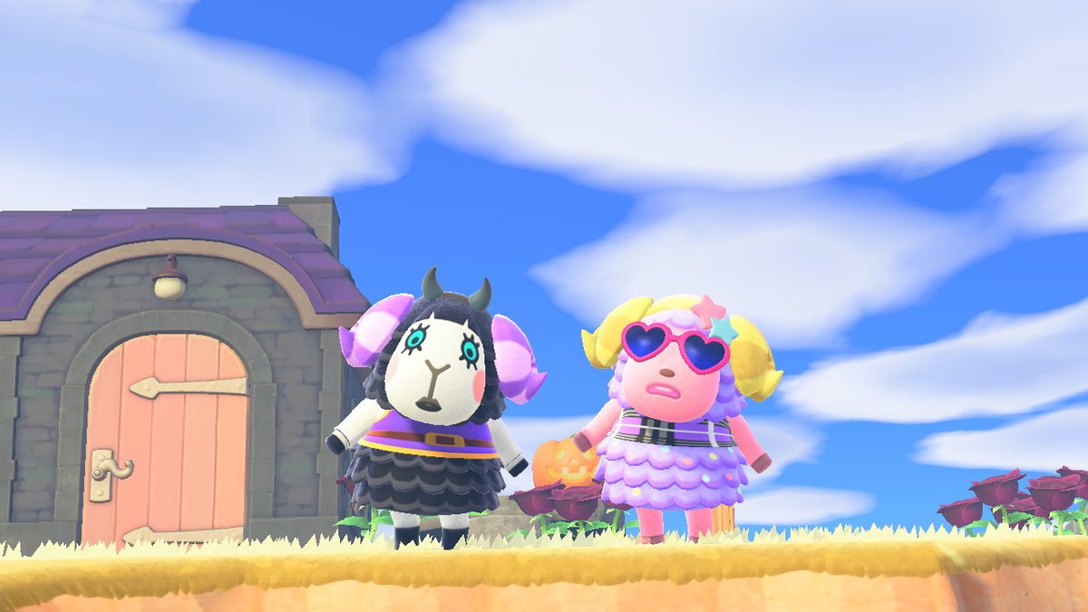 nihonchaser's tweet photo. #AnimalCrossing #ACNH #NintendoSwitch https://t.co/1fCAqRTs4m