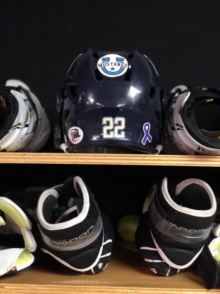 PeoriaMustangs's tweet photo. During this weekend's home series vs. New Ulm, we will wear purple ribbon stickers on our helmets for the fight against Alzheimer's.

#HockeyWithHorsepower #FightAlzheimers https://t.co/kp4iTcj13P