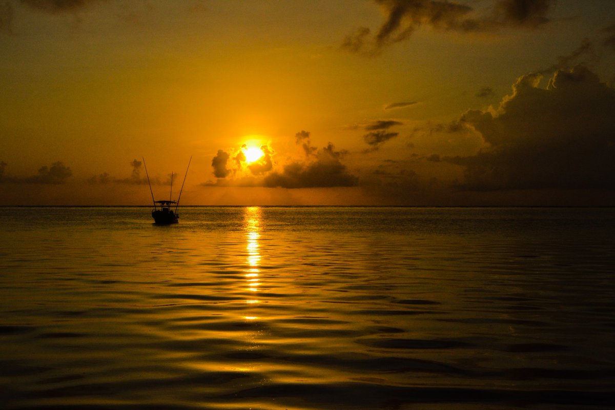 Golden hour is the best time of day...🌅 
♡
#sunrise #sunrisesilhouette #silhouette #dianisunrise #dianikenya #diani #Mombasa #magicalkenya #tembeakenya
