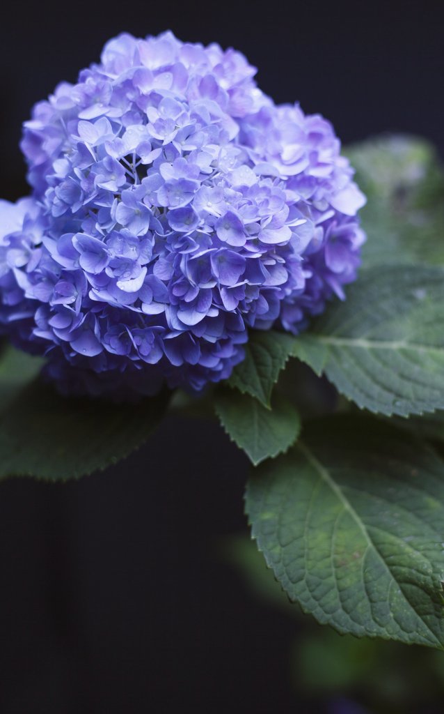 Johann Septian ⛓️ 😈 🏴 tweet media