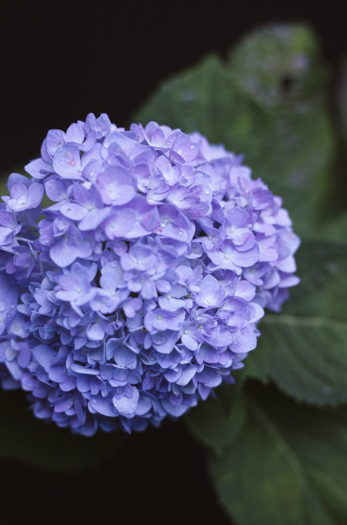 Johann Septian ⛓️ 😈 🏴 tweet media