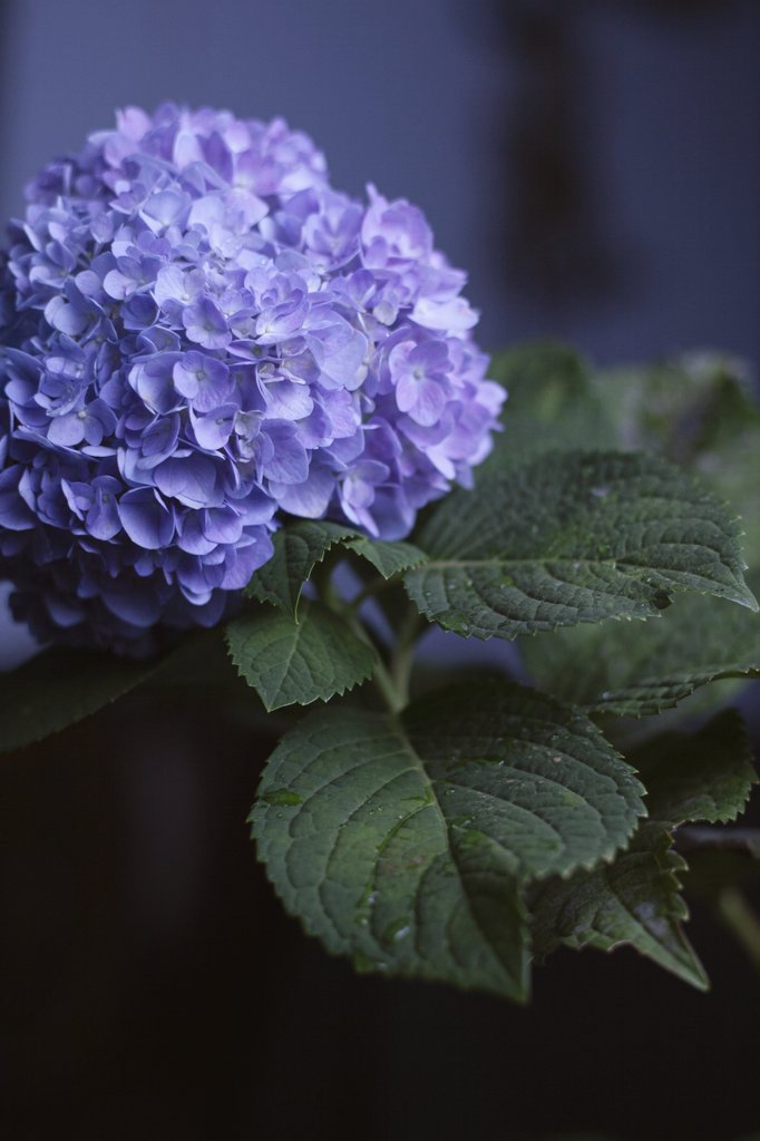 Johann Septian ⛓️ 😈 🏴 tweet media