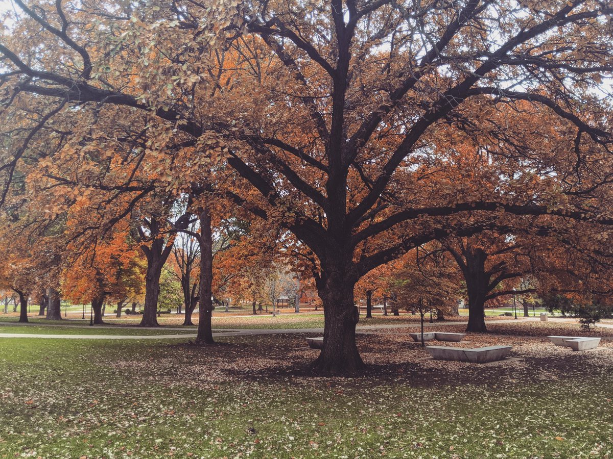 PriyankaA333's tweet photo. Few things are more beautiful than #fallcolors on a beautifully landscaped college #campus. ๐๐๐๐ This is my gorgeous view as I walk from the parking deck to my office building every morning! #fallobsessed https://t.co/Sg0PTMGYdp