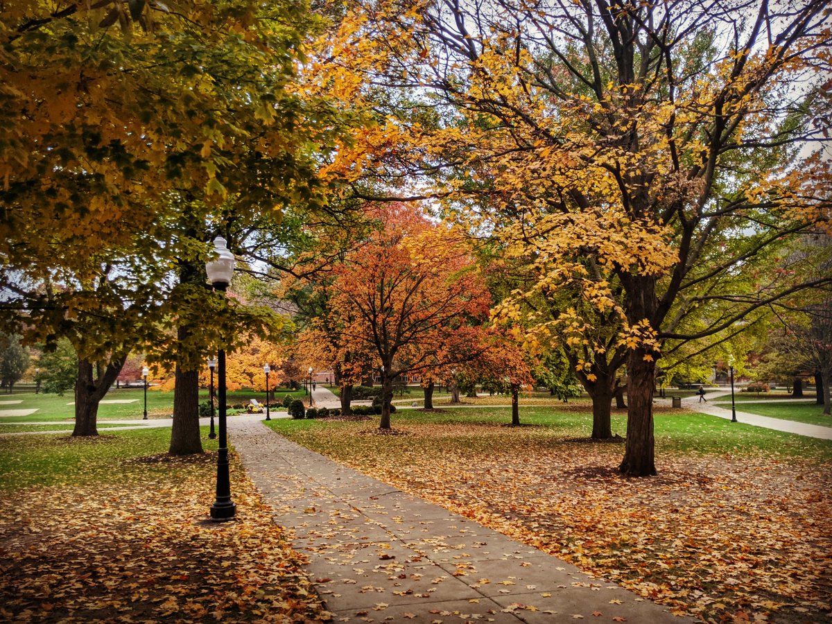 PriyankaA333's tweet photo. Few things are more beautiful than #fallcolors on a beautifully landscaped college #campus. ๐๐๐๐ This is my gorgeous view as I walk from the parking deck to my office building every morning! #fallobsessed https://t.co/Sg0PTMGYdp