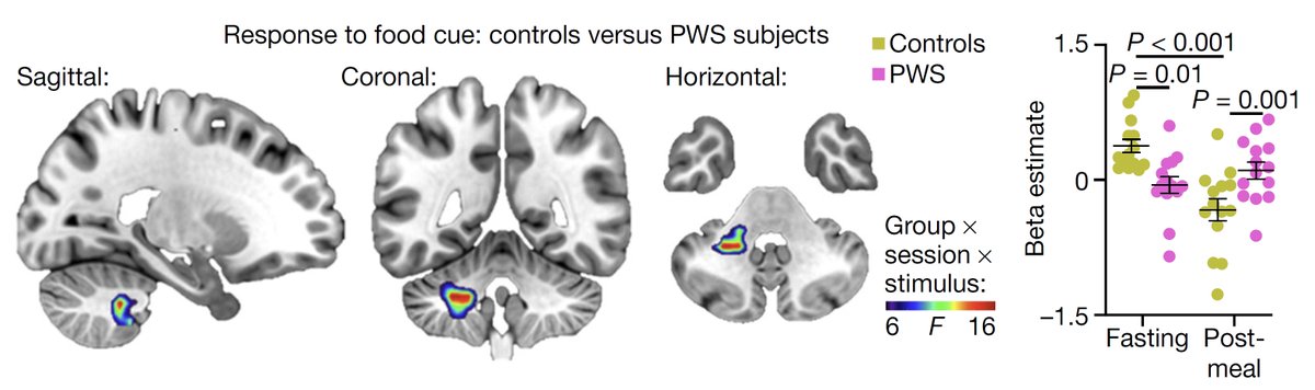 Albert I. Chen tweet media