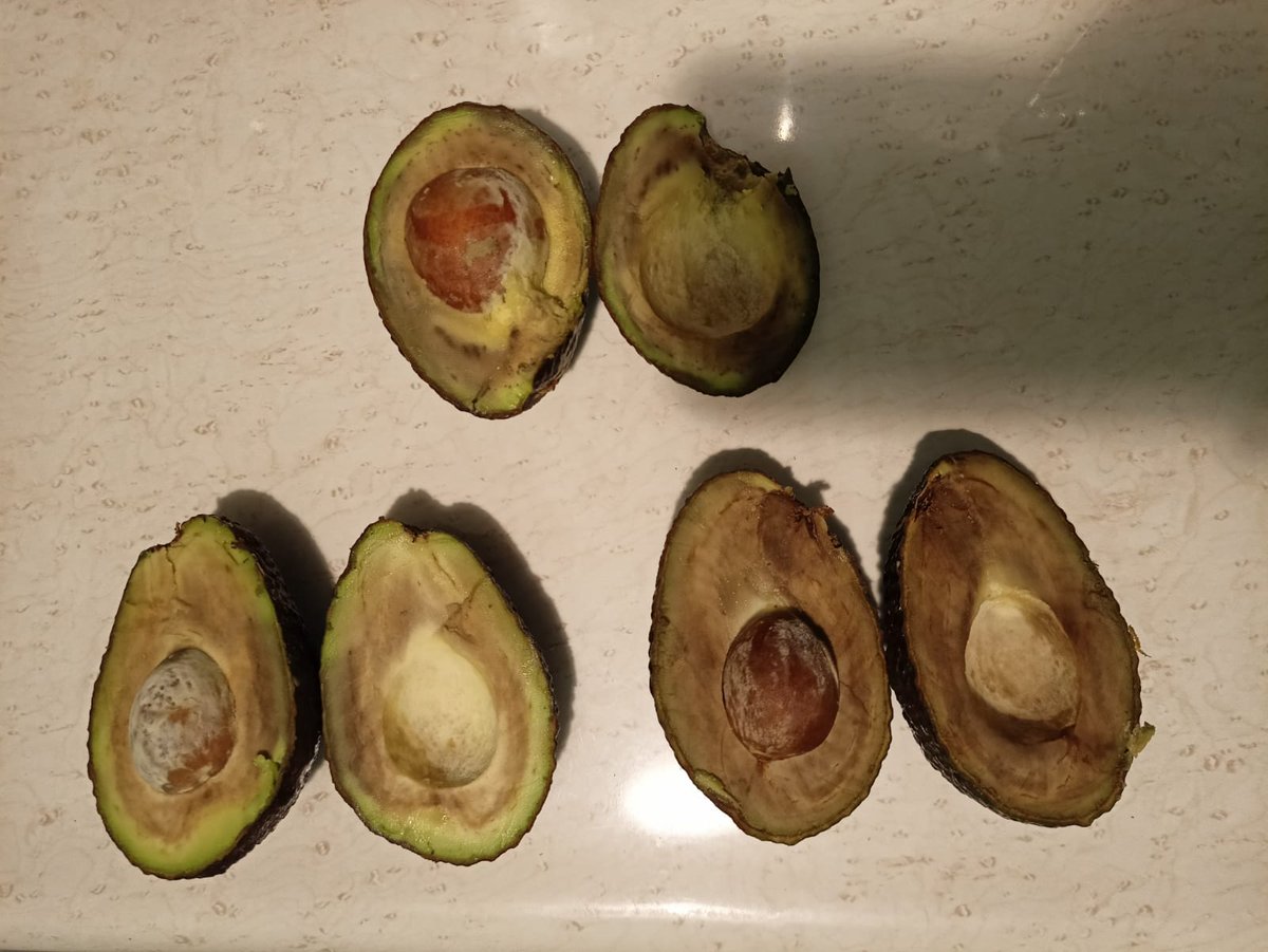 abykano's tweet photo. @Chedrauioficial Difiero con su comentario "calidad" ya que al comprar en línea miren la "calidad" en verduras que envían https://t.co/zDkAvz3kZD