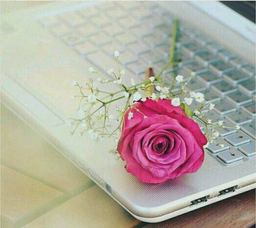 اللهم اكتب لنا مع أنفاس هذا الصباح خيراً ، ورزقاً ، وعافية ..   

#صباح_الخـــيرات..🌹🌹