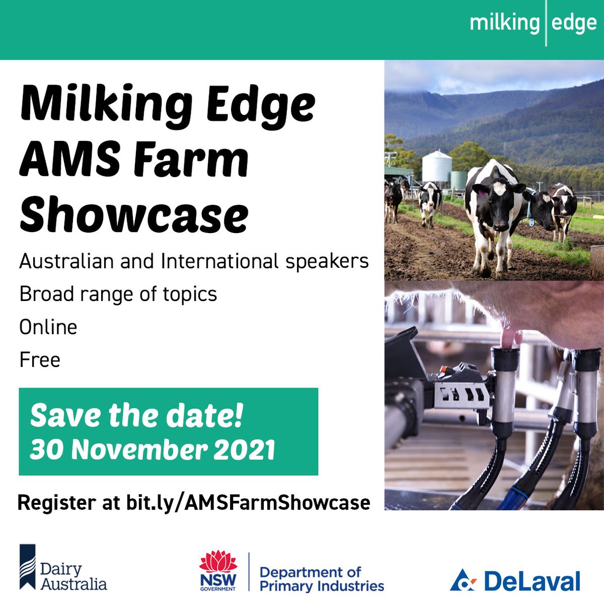 Lyons_Nico's tweet photo. #MilkingEdge AMS Farm Showcase - Tue 30 Nov from 9-4pm AEDT. Join to listen to AMS πfarmers from π¦πΊ &π on pasture-based and indoor systems, large dairies, as well as energy, financial and business factors. Register πhttps://t.co/jpwPAqyjKW // @Dairy_Australia @nswdpi @DeLaval https://t.co/TJJjW5u874