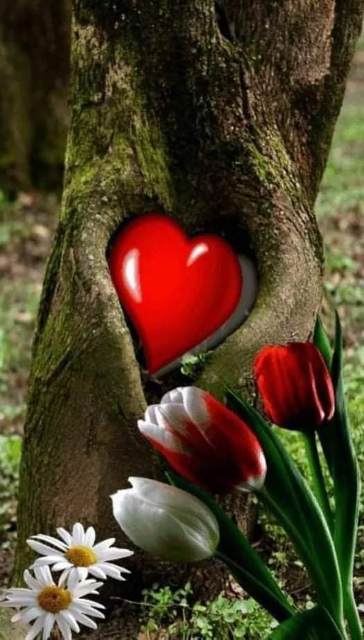 اصبحنا واصبح الملك لله والحمد لله لا شريك له لا اله الا هو وإليه النشور