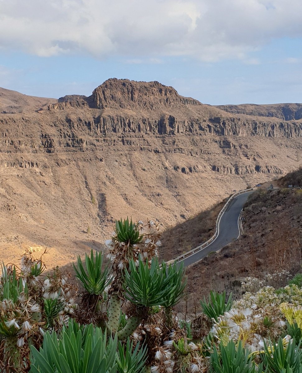 Cri_w13's tweet photo. Gran Canaria https://t.co/Ibia2yxgVY