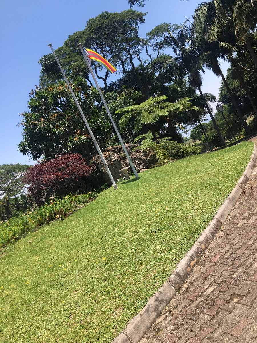 FambaNeni's tweet photo. ☀️☀️☀️ 🇿🇼

#visitzimbabwe #sunshine #zimbho #leopardrock https://t.co/JS0hn8Ce8B