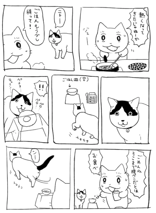 猫 cool 