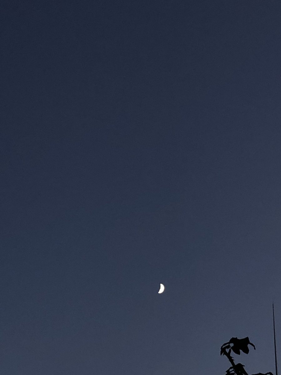 最近月が綺麗だね