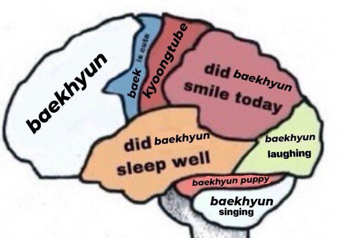 beabyun's tweet photo. 보고싶어 백현아 https://t.co/yBKooaeIcJ