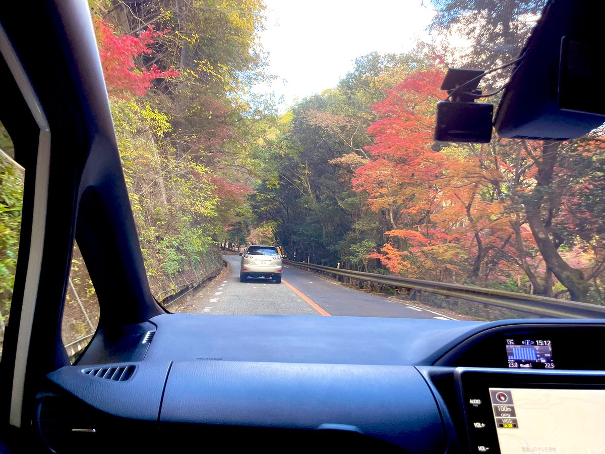 actor03YN's tweet photo. 家族と箕面までドライブしてきた✨🍁

紅葉🍁が綺麗だった✨👍

#箕面市 
#紅葉🍁
#家族とドライブ🚗 https://t.co/FtKhJ5e6BL