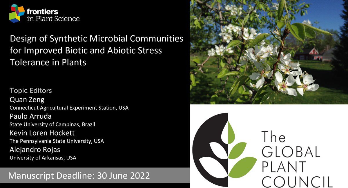 FrontPlantSci's tweet photo. New #ResearchTopic on #SynComs now online!

👉🏽To participate: https://t.co/hZ78B9I65P
📆Deadline: 30 June 22

Edited by Quan Zeng, Paulo Arruda, Kevin Loren Hockett &amp; Alejandro Rojas
@oldkayak @unicampoficial @penn_state @alejorojas2  @GlobalPlantGPC https://t.co/wkTBtMiimY