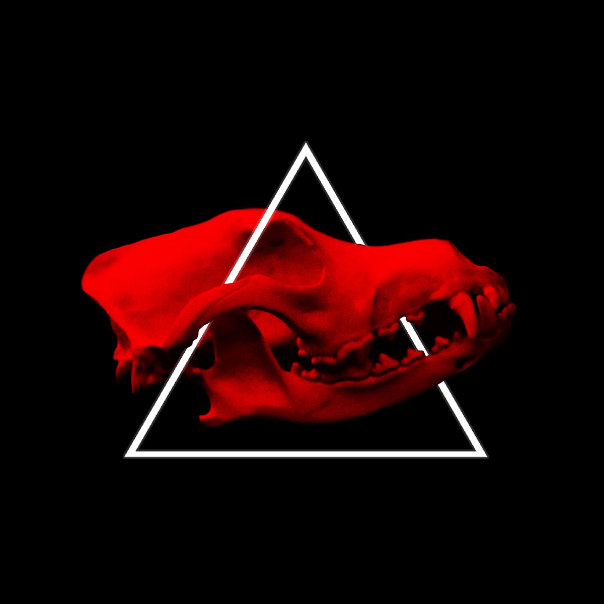 So many people have been asking for this tune so we're going to give it ya. Our new single Predator drops on the 11th of December. You can pre save it on spotify now via the link bellow. Lets goooo

distrokid.com/hyperfollow/st…