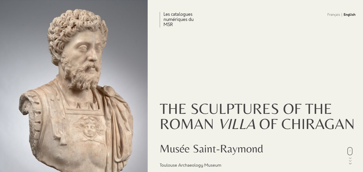 Musée Saint-Raymond tweet media