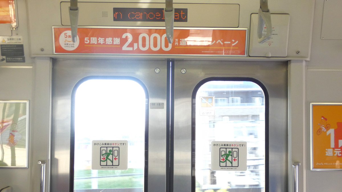 ヤテラピ tweet media