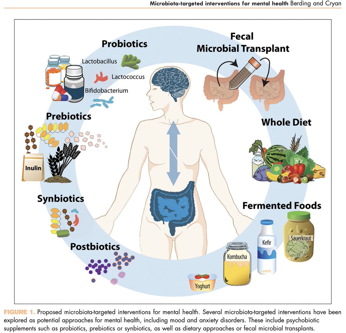 Microbiota-targeted interventions for mental health : Current Opinion in Psychiatry - Well done <a href="/BerdingHarold/">Kirsten Berding Harold</a> #nutritionalpsychiatry  journals.lww.com/co-psychiatry/…