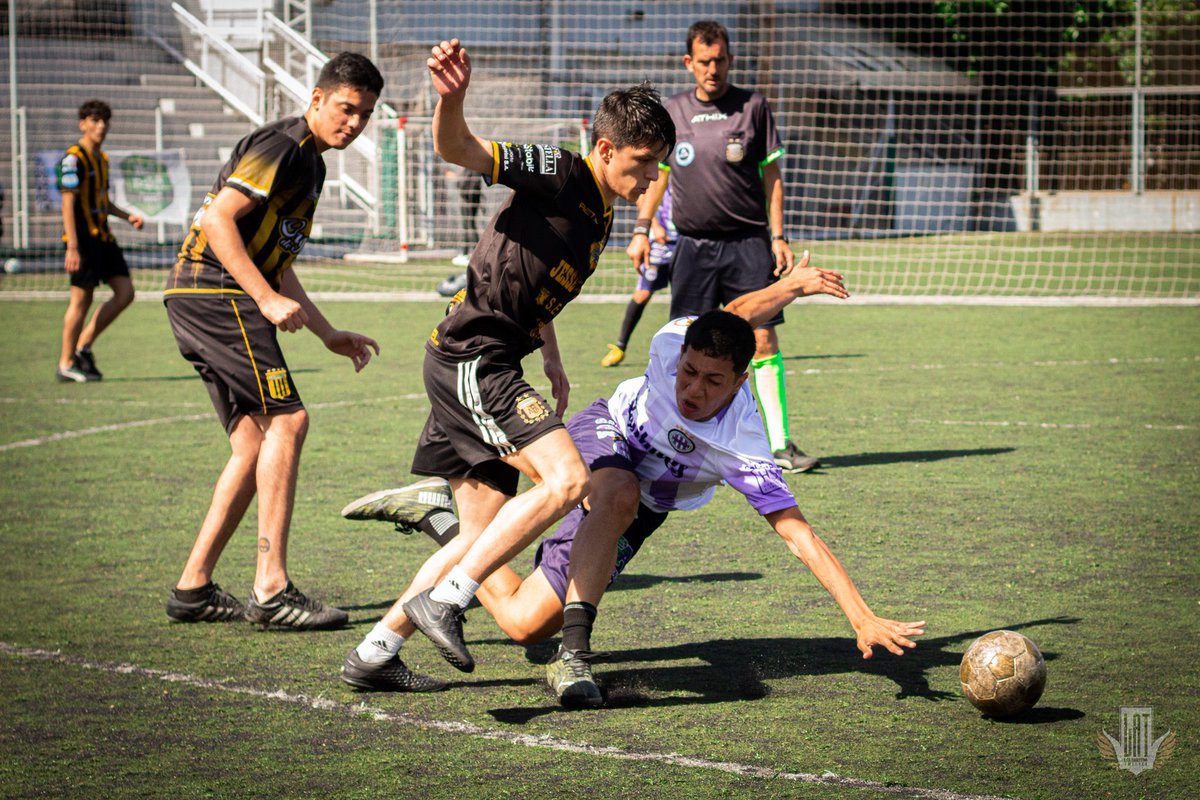 AlteBrownLAT's tweet photo. ¡Buen día, aurinegros!

💛🖤 https://t.co/7vyUHRMFWR