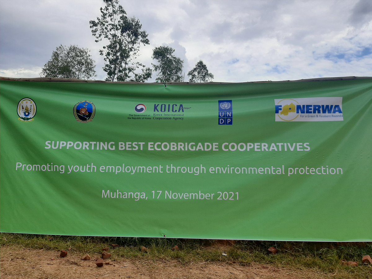 UNDP_Rwanda's tweet photo. HAPPENING NOW: @YouthCultureRW in partnership with @UNDP_Rwanda and @KOICA_Rwanda award 15 Cooperatives of Youth that work in #ECOBRIGADE(a program for youth cooperatives working for environmental ecosystem protection) operating in @NgororeroDistr, @KarongiDistr and @Muhangadis. https://t.co/XsxJwRbjsn
