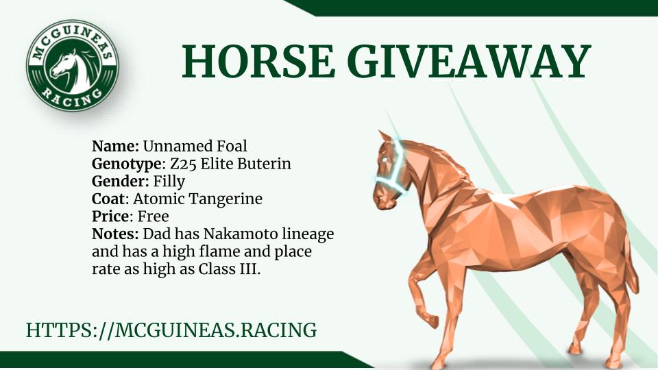 McGuineas Racing tweet media