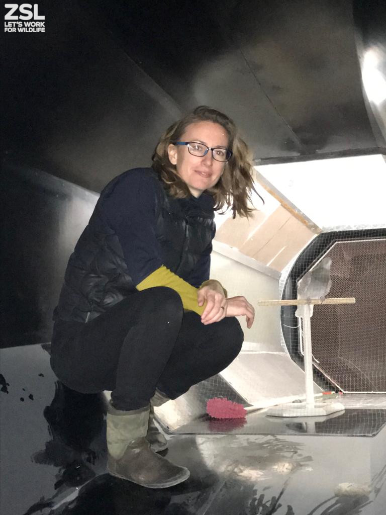ZSL Science on Twitter: 