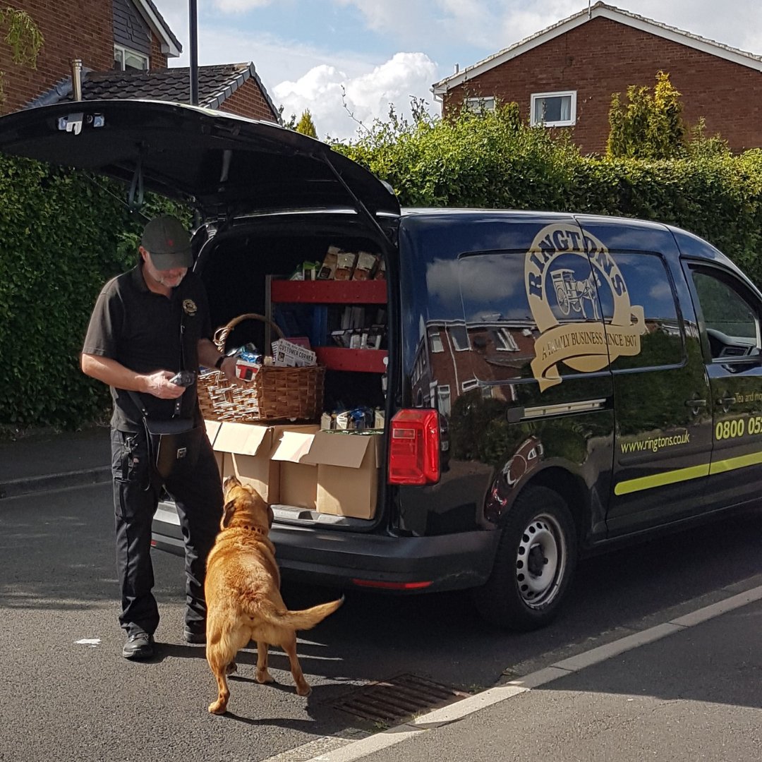 Ringtons's tweet photo. When the Ringtons man is also your best friend...
#PetsofRingtons 🐶 https://t.co/koVdl1WXRf