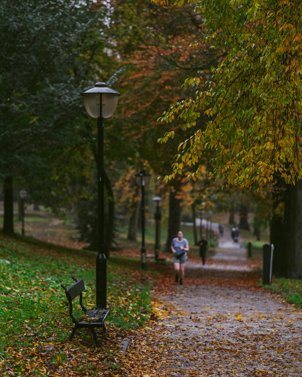 chandusrirangam's tweet photo. An #autumn #morning in #utrecht - 2
#november #utrechtcity #visitutrecht #discoverutrecht #discoverutrechtbybike
#utreg #utrecht_official #utrecht_netherlands #igersutrecht
#bestofnetherlands #welcome2netherlands #visitnetherlands #total_netherlands #dernederlanden https://t.co/l9NpAEf5Pb