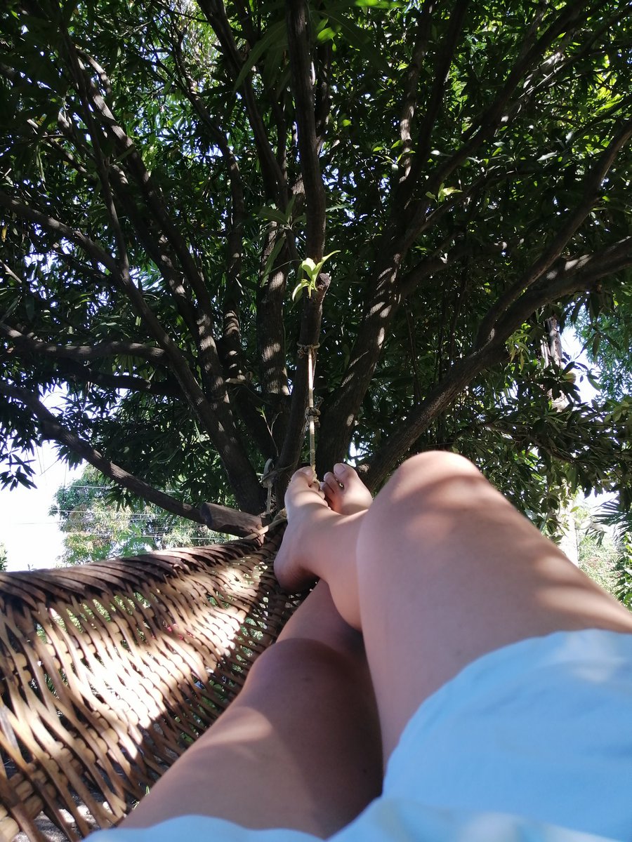 anap0t's tweet photo. Isang buong taon di nakapagdrive.
Kaya na ulit ang long drive!

Chill muna tayo, mga marites!
#UTMT https://t.co/3kGslmo16F