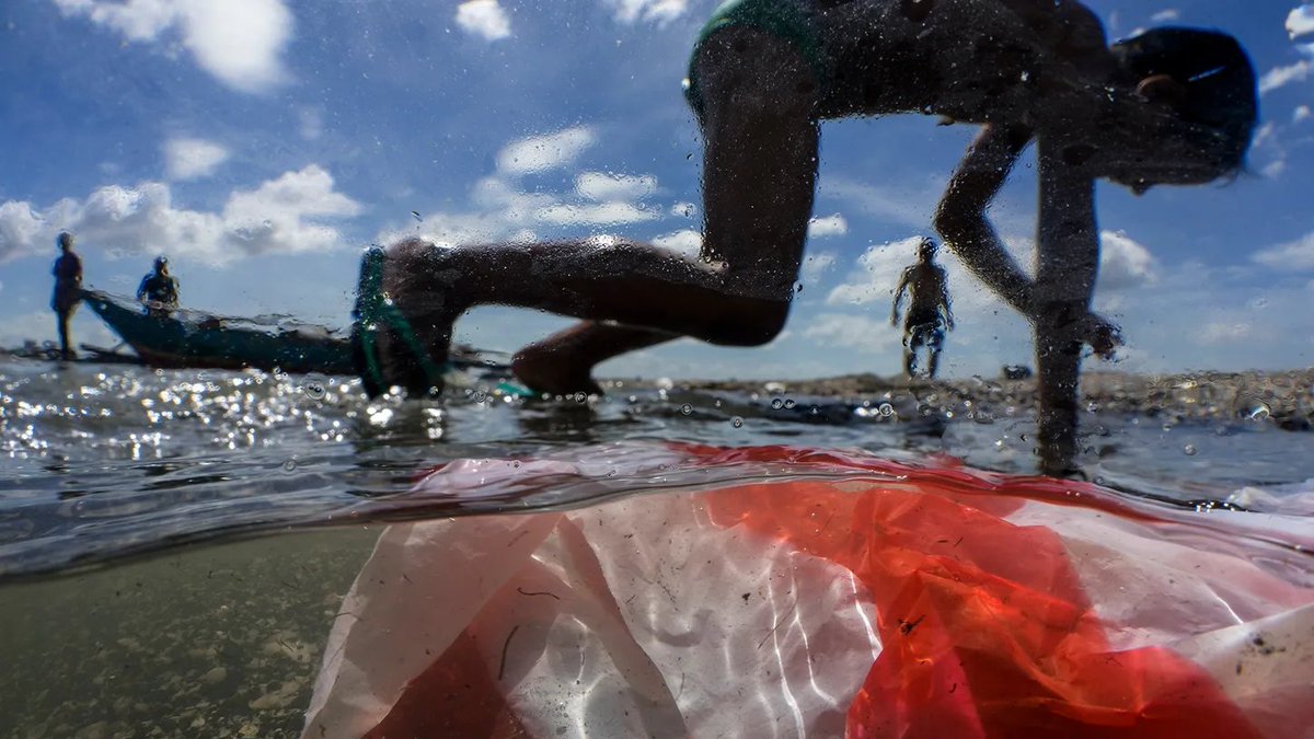 RevolutionZERO1's tweet photo. 👇👇
1. Plastics if used well (reused, reused, reused, reused....) can be a commodity to help us regeneraate our planet freeing up more surface area for re-wilding and food crops

2. If abused, as they have been, plastics can destroy us
https://t.co/GG6MXmnbDm

Be 1, not 2 🙏🌍⚕️ https://t.co/pc6pts1s0o