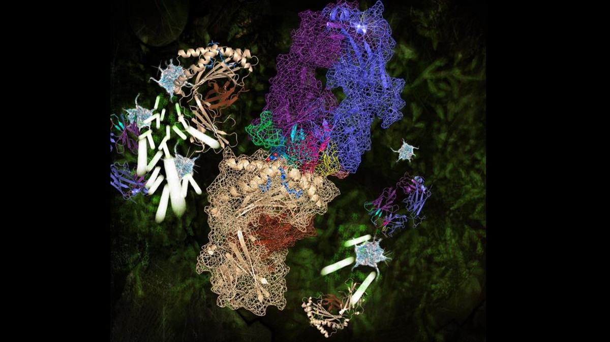 Monash Biomedicine Discovery Institute tweet media