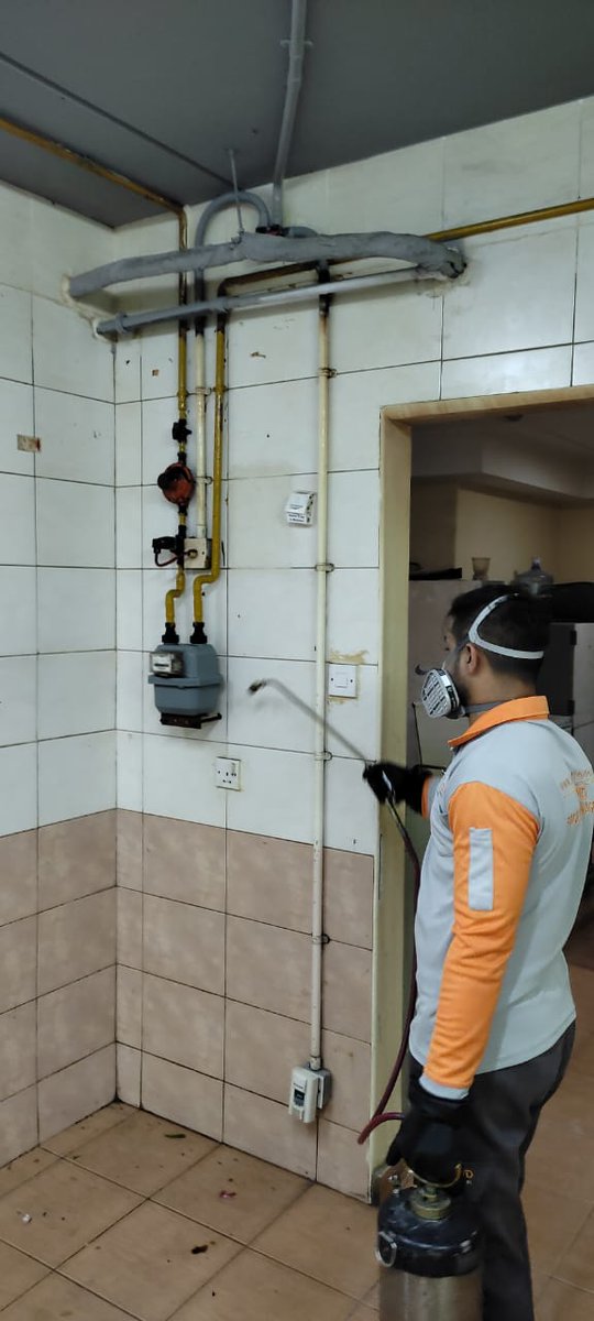 Intrepidgroupe's tweet photo. ARE YOU FACING ANY COMMON PEST ISSUE? #INTREPID Pest Control Services, provides you effective and complete pest control and extermination solutions to a variety of common residential pest-related issues, for both indoor &amp; outdoor.
Visit us now : https://t.co/iSMfB5ke5b https://t.co/B1XHJqmmrj