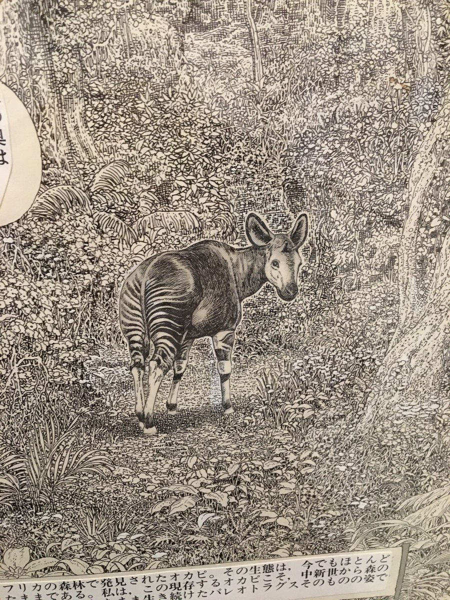 谷口ジロー先生展に行って、ひたすら圧倒されてきた。
描き込みとトーンの削りがすさまじい… 
