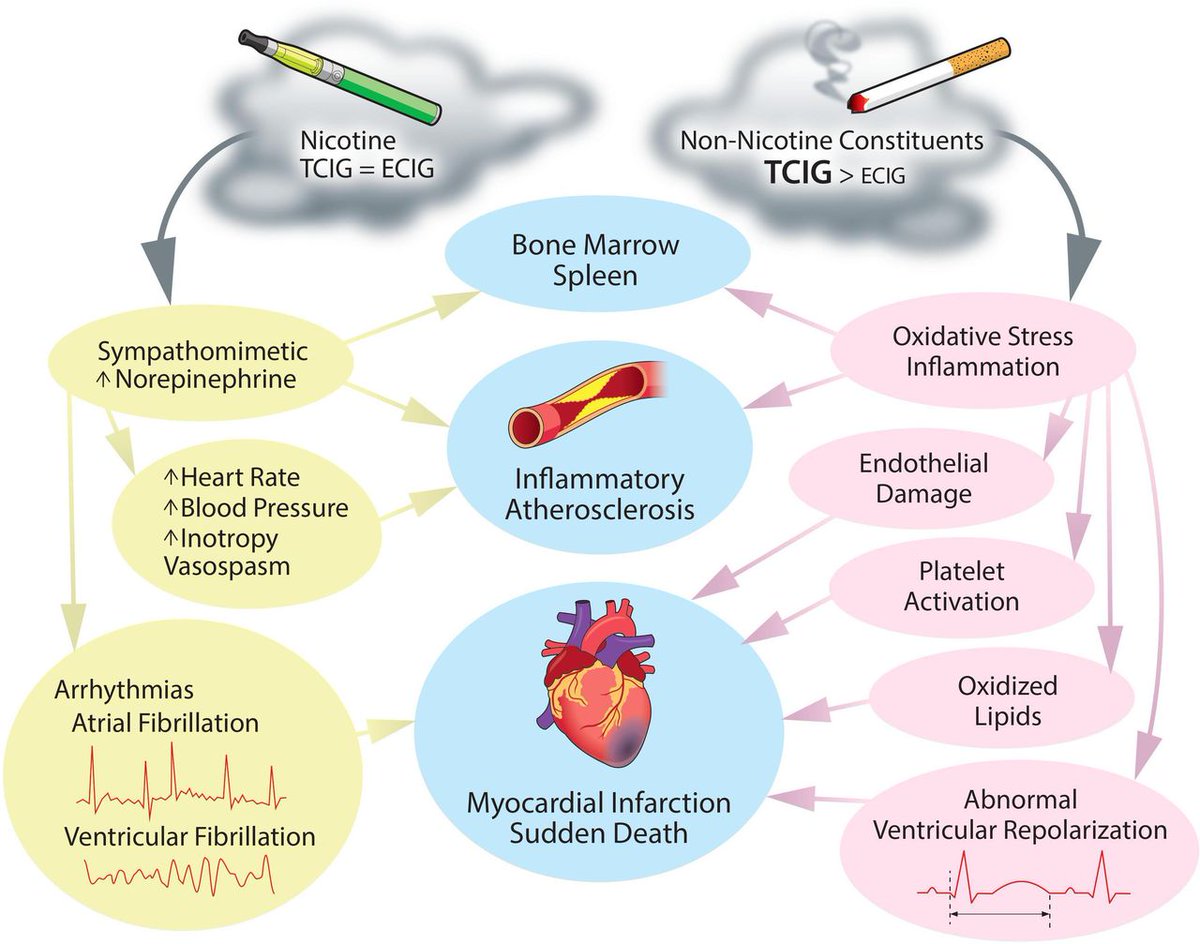 Heart_BMJ tweet media