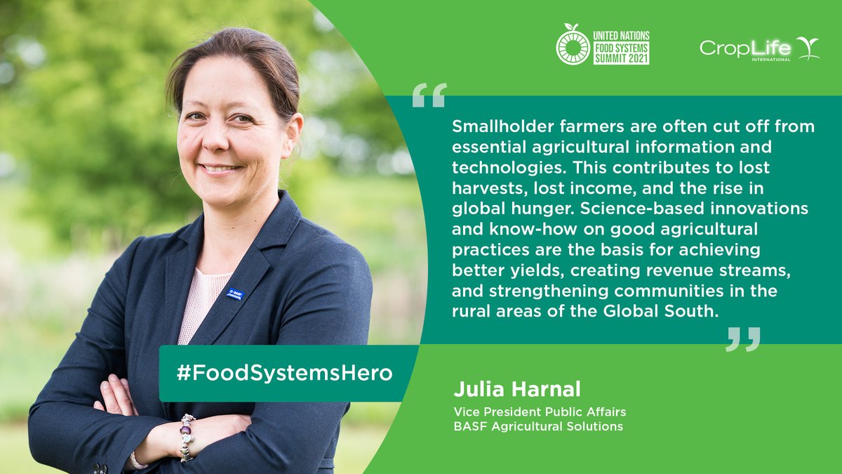 CropLifeIntl's tweet photo. Who is our #FoodSystemsHero? Our #foodheroes are people working to advance agricultural #innovation that help deliver more sustainable food systems for the world. #UNFSS2021 #FoodSystems #Smallholder #Agriculture @FoodSystems @HarnalJulia @BASFAgro https://t.co/hMV3sagWz6 https://t.co/Tj309dZ7YW