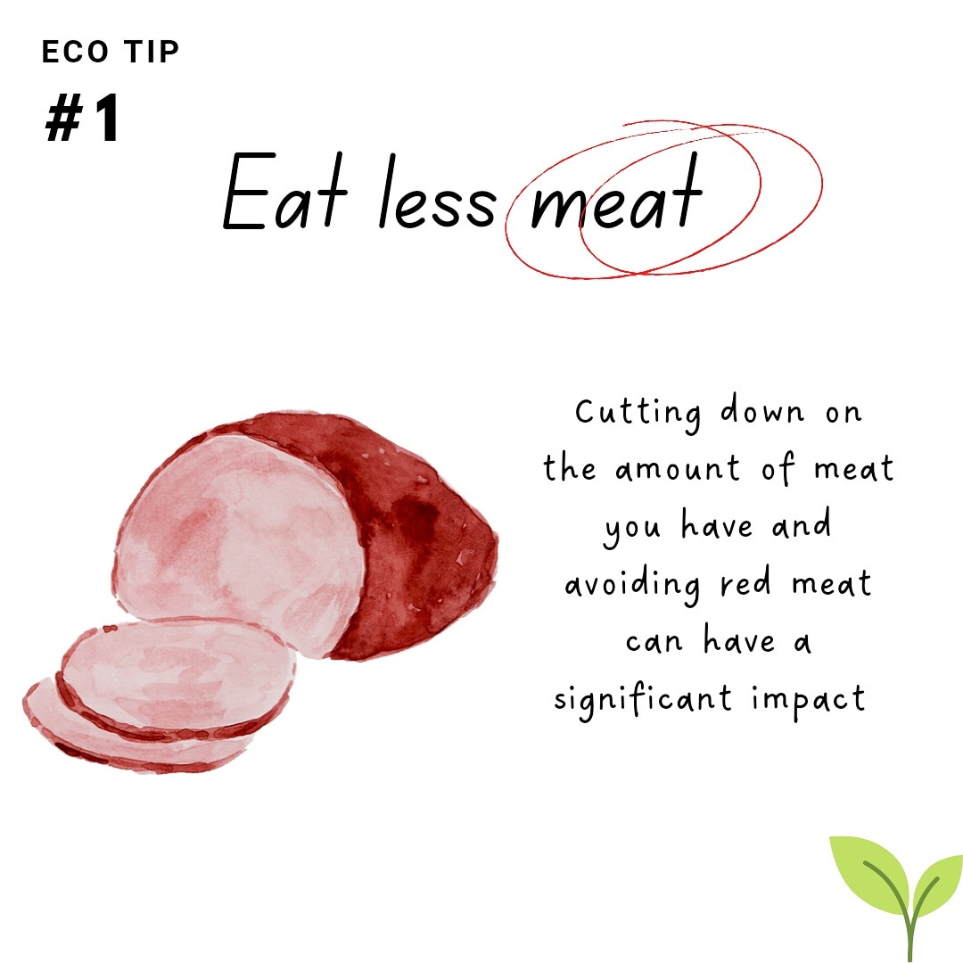 BTS_UA's tweet photo. Eco tip #1 
Eat less meat 

It is estimated that animal husbandry emits more greenhouse emissions than the whole transportation industry combined.
 Lowering or eliminating meat consumption can have a significant impact on climate change. https://t.co/LjvLPW9Wql