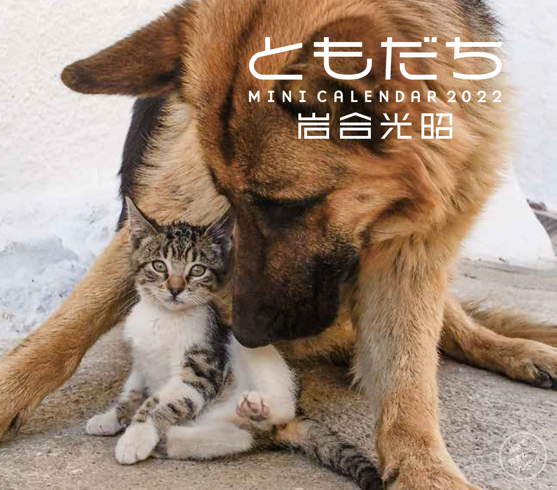 猫びより 好評発売中 22ミニカレンダー 岩合光昭 ともだち は 猫と犬 仲良しコンビのほのぼのカレンダー 2匹はどんな関係なのか想像して楽しんでください コチラから他の写真も見られます T Co Xomukezlbs 岩合光昭 T 猫びより 好評発売中 22ミニカレンダー 岩合光昭 ともだち は 猫と犬 仲良しコンビのほのぼのカレンダー 2匹はどんな関係なのか想像して楽しんでください コチラから他の写真も見られます T Co Xomukezlbs 岩合光昭 T