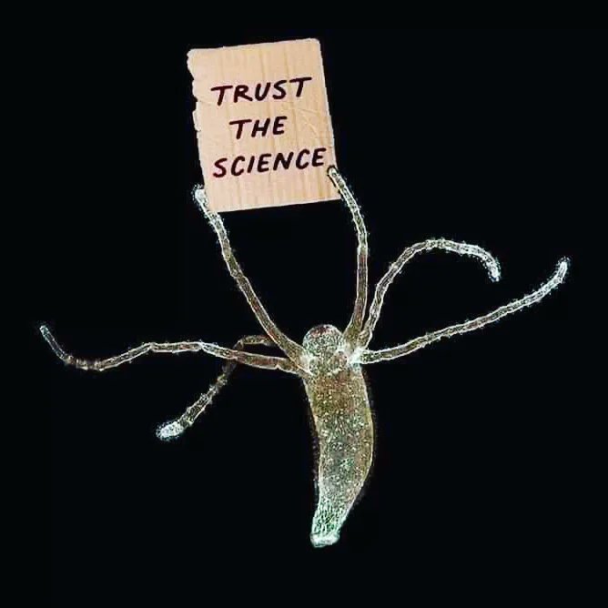 entityphylum's tweet photo. Trust the Science. Your mid week hilariousness. #entityphylum #trustthescience #beware #hydra #HydraVulgaris https://t.co/LVAyMuv1hL