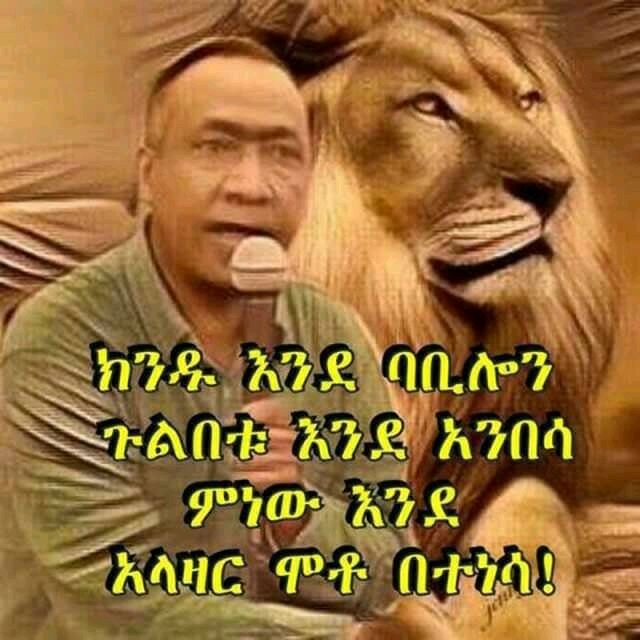 AlamirAzimuth's tweet image. 