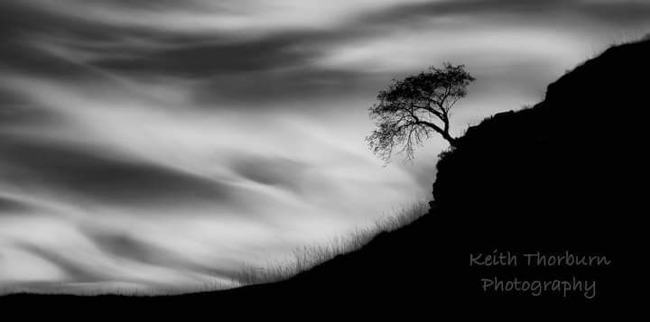 KwtImages's tweet image. Not your usual iconic photo fromm around Glencoe 
#bbcwildlifepotd #ukwildlifeimages #uk_wildlife_images #wildlifephotography #rspb_love_nature #wildlifeplanet #naturelovers #naturephotography #kwtimages #scottishhighlands #highlands #lochaber #kinlochleven @glencoemountain