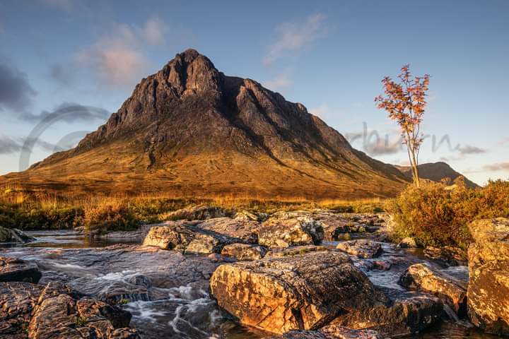 KwtImages's tweet image. Then there is your usual iconic view, and one of those images that won't be available for another year if the tree last the winter,  @_LandScapemag #rspb_love_nature #wildlifeplanet #naturelovers #naturephotography #kwtimages #scottishhighlands #highlands #lochaber #kinlochleven