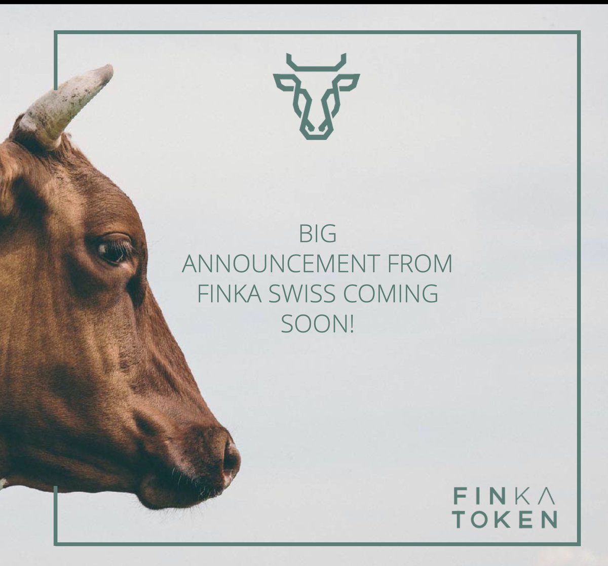 Here is your reminder to follow <a href="/FinkaSwiss/">Finka</a> as we have a big announcement coming soon! This is something you don’t want to miss - so become part of our audience to stay updated!

#FinkaSwiss #Tokenisation #FutureofFinance