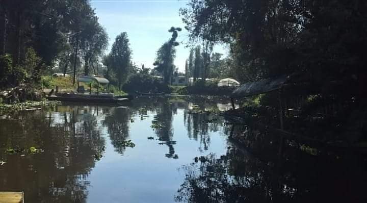 Reintegraryrev1's tweet photo. Recorrido por #Xochimilco - Ciudad de México 🌳🇲🇽
Recorridos y actividades con Umbral Axochiatl Xochimilco A.C.
¡Visita el link y Suscribete al canal para más contenido!
https://t.co/NzL7fktDtP
#ReIntegraryReVivir #YouTube #recorrido #turismo #relax #viaje #mexico https://t.co/ON6wHprqLq