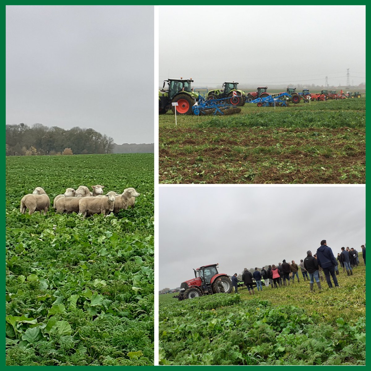 Agoracoop's tweet photo. Démonstration destruction de #couvertsvégétaux à Lafraye, hier, mardi 16 novembre. 🍀

150 participants ont pu profiter de l'occasion pour comparer l’efficacité de destruction de 23 matériels 🚜 avec des démonstrations en dynamique ! https://t.co/3TXLvdJLjn