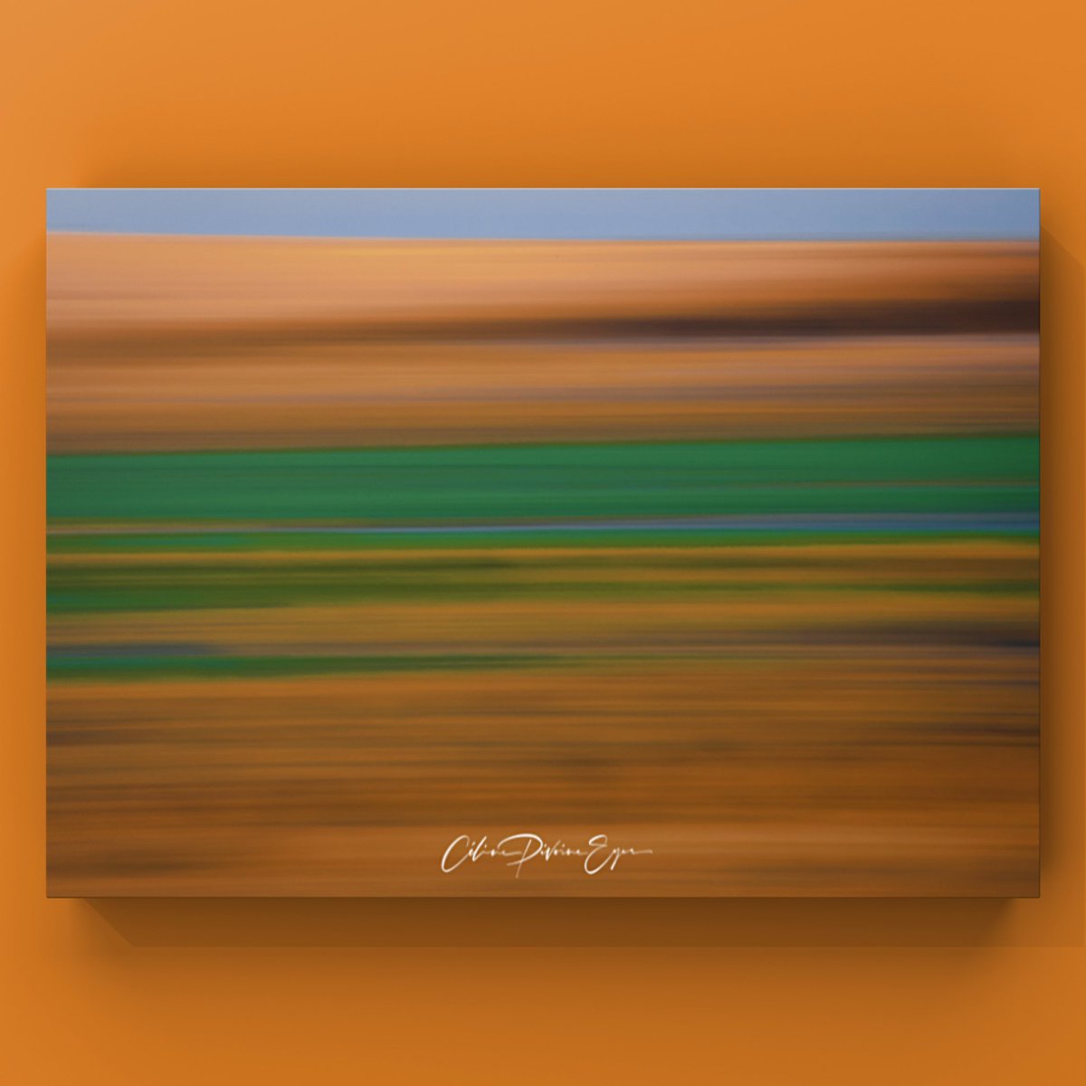 CelinePivoine's tweet photo. Bord de mer 

📩 Infos &amp; tarifs : https://t.co/cOnzHZkHJu

#ICM #flouartistique #abstrait #ICMphotography  #abstract #abstractart #impressionism #impressionistart #impressionistphotograph #abstractphotography #art #femmephotographe #mer #plage #mareebasse #algue #rocher https://t.co/kUbYPM1fYG