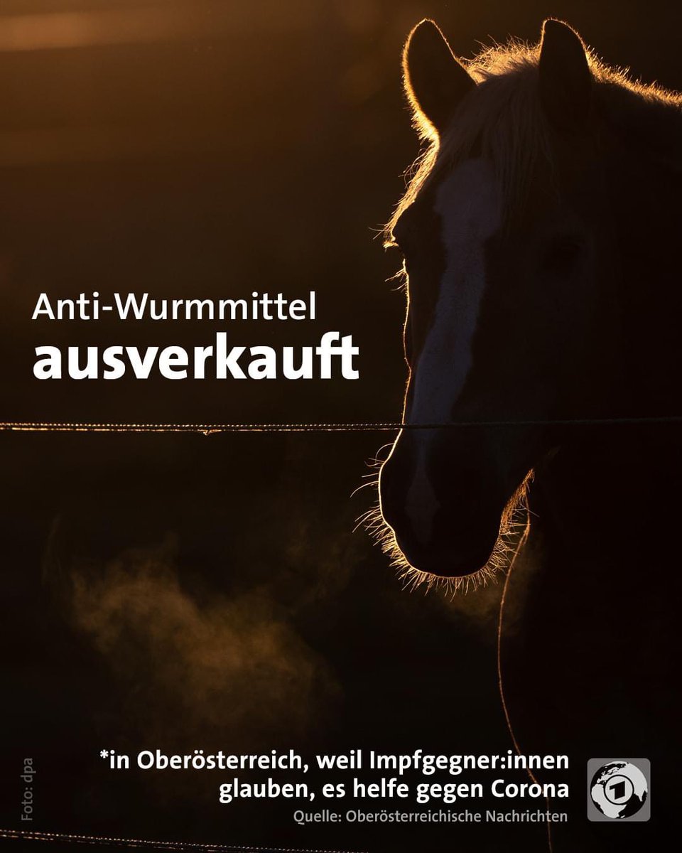 Impfen ist gefährlich, aber Wurmmittel für Ponys soll‘s richten? Hätte mir meine erste Pandemie anders vorgestellt 🤦‍♀️