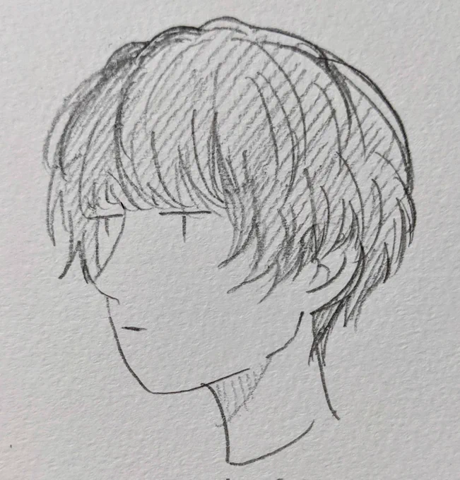 ◀ハンサムショート  ウルフ▶ 