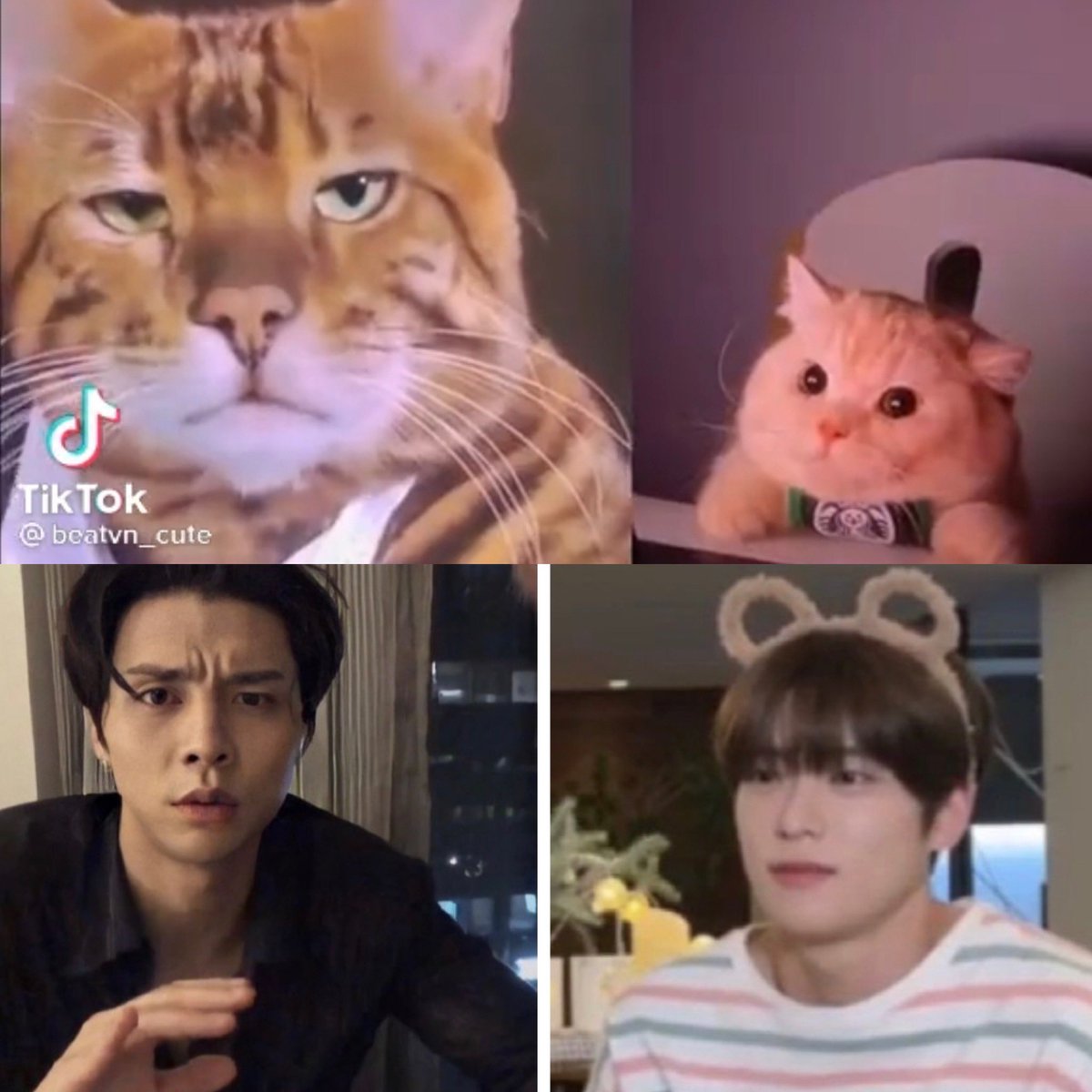 ฮื่อ55555